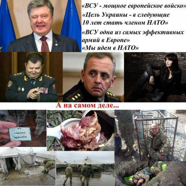 Пока Порошенко проваливает очередной штурм НАТО, украинские моряки грозят ему побегом в Крым