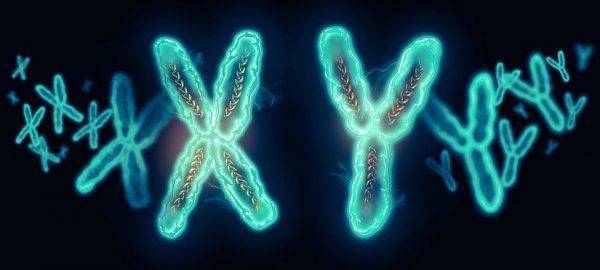 Развитие науки в России: настоящее и будущее. Мнение Владимира Путина