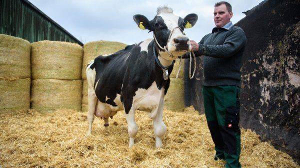 Молочные войны: Потребитель будет крайним
