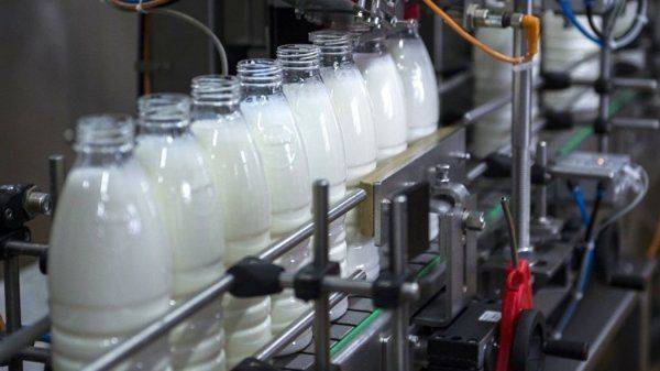 Молочные войны: Потребитель будет крайним