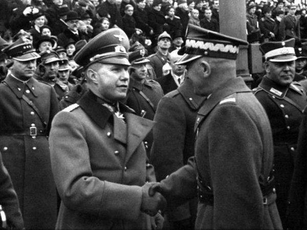 Свято манкурта «Червона дупа» – гибрид белой розы с чёрной жабой