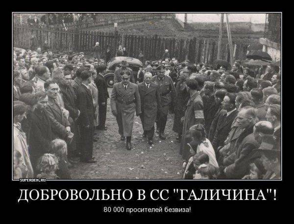 Свято манкурта «Червона дупа» – гибрид белой розы с чёрной жабой