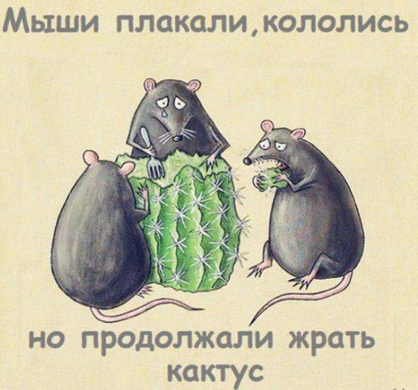 Киев и санкции: «назло кондуктору отморожу уши»