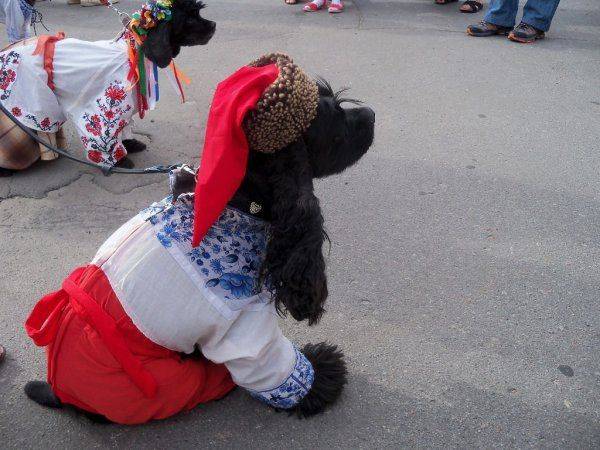 Вышиванка и "совок" головного мозга