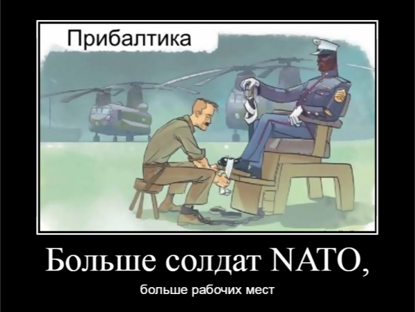 Литовских военных будут тренировать в Дании