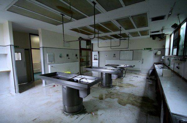 Бизнес на основе геноцида: Киев одобрил закон о трансплантологии