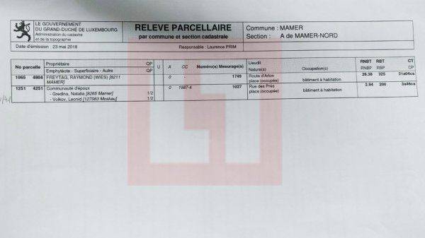 Элитный особняк Волкова в Люксембурге и серые схемы команды Навального
