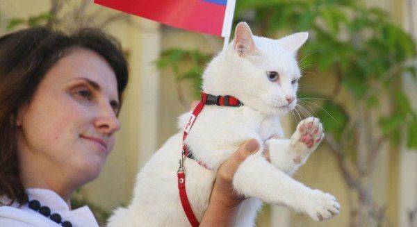 Кот-оракул и Кубок ФИФА – куда и на чем в Петербурге податься в ожидании ЧМ-2018?