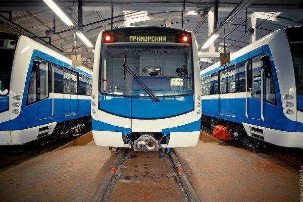 Кот-оракул и Кубок ФИФА – куда и на чем в Петербурге податься в ожидании ЧМ-2018?