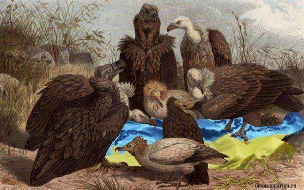 «Игра на выживание»: США уничтожают украинскую экономику