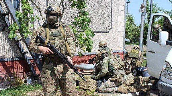 Украинские партизаны и террористы: кто они на самом деле Украинские партизаны и террористы: кто они на самом деле