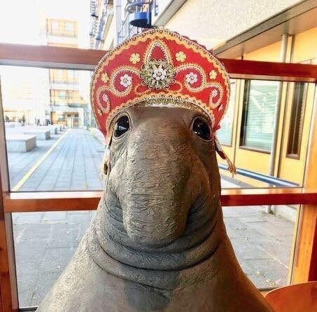 Мы можем многое! Мы можем многое!