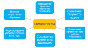 Наставничество – элита опытных мастеров, доступна после 55 лет