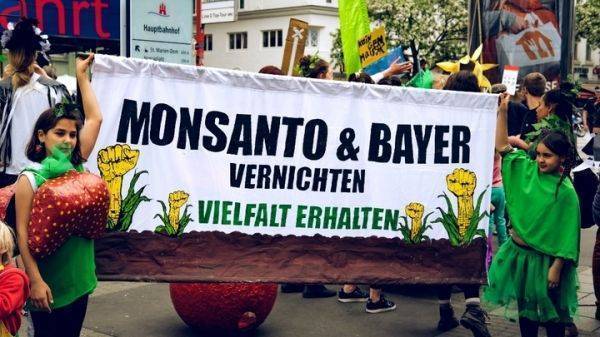 Садовник и его убийца: У Monsanto начинаются крупные неприятности Садовник и его убийца: У Monsanto начинаются крупные неприятности