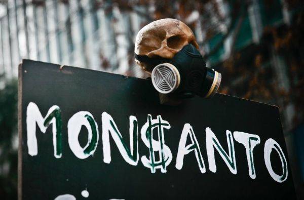 Садовник и его убийца: У Monsanto начинаются крупные неприятности Садовник и его убийца: У Monsanto начинаются крупные неприятности