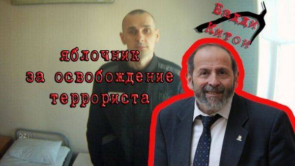 Как депутат от партии Яблоко выступает в защиту террориста