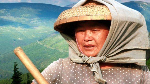 Миллион гектаров для китайцев: Правда и домыслы, выгоды и угрозы