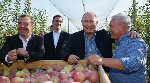 Владимир Путин и Дмитрий Медведев посетили яблоневые сады в Ставропольском крае