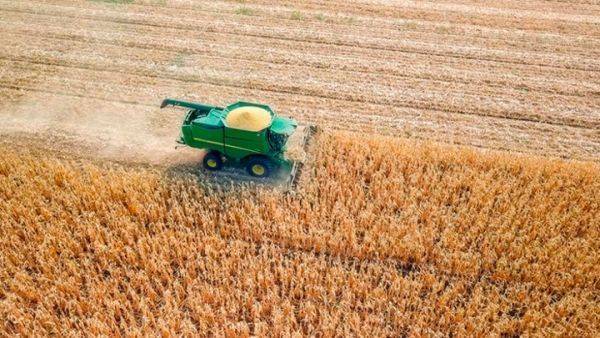 Битва за урожай: Правительство против аграриев