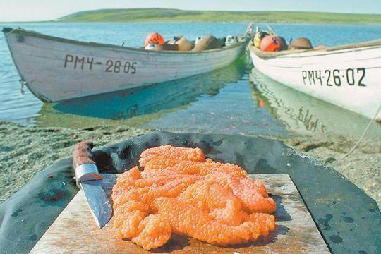 Гнилой рекорд: Тонны красной икры пошли на корм скоту