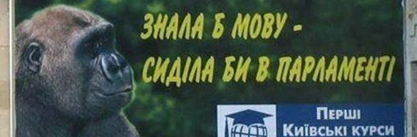 Карасев признал, что украинский язык никому не нужен