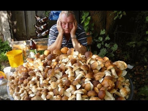Еда-убийца. 5 опасных продуктов, которые могут отправить на тот свет
