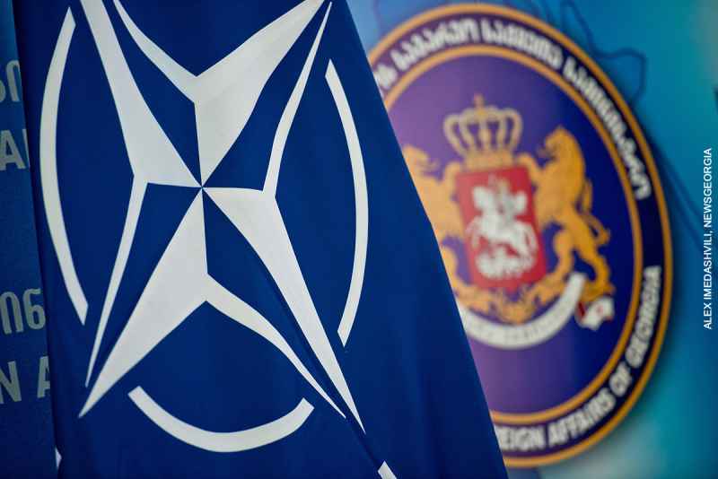 Грузии стоит отказаться от членства в НАТО
