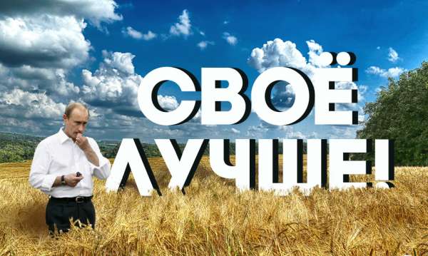 Путин утвердил новую Доктрину продовольственной безопасности России