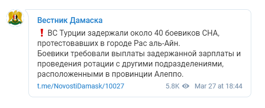 Протурецкие боевики угрожают оккупировать часть Турции и передать ее Сирии