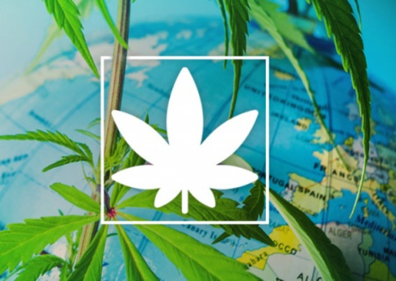 Вопрос о легализации марихуаны в россии tor browser uninstall hidra