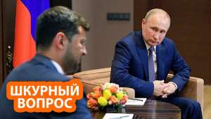 «Киев умоляет Путина спасти шкуру Зеленского»