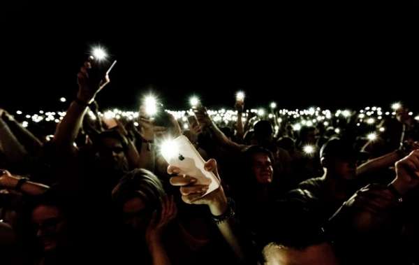 По  тысяче за участие в акции с фонариками – хомяки платят себе подобным