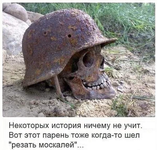 Зеленский официально возглавил неонацистов и борцов с «победобесием»?