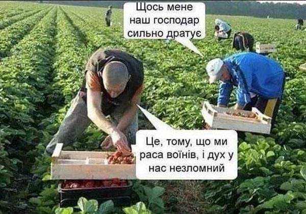 Без детей — это «старость, не радость» по-украински