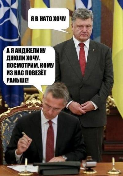Украина-НАТО: Зеленский проиграл очередной бой – со шлагбаумом
