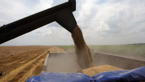 Нужен «зелёный коридор» для вывоза зерна с Украины, — глава МИД Китая