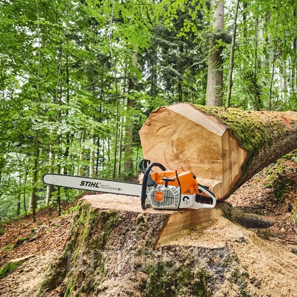 Три лучшие модели бензопил Stihl: мощь и надежность для профессионалов и любителей