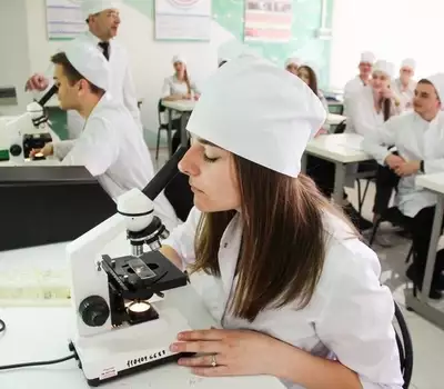 Световая микроскопия: как устроен и на что способен главный инструмент биолога