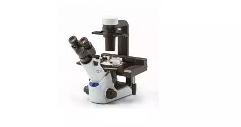 Микроскоп: ваш проводник в невидимый мир. Как выбрать, настроить и эффективно использовать
