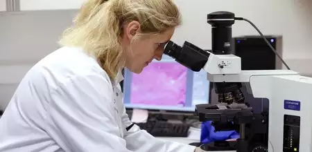 Светящиеся миры: как работает флуоресцентный микроскоп и где он незаменим